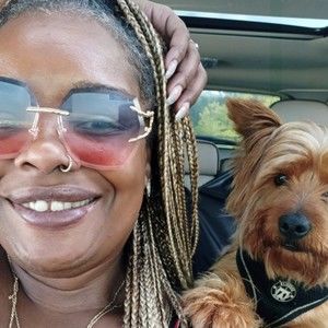 Meet your Posher, Simone